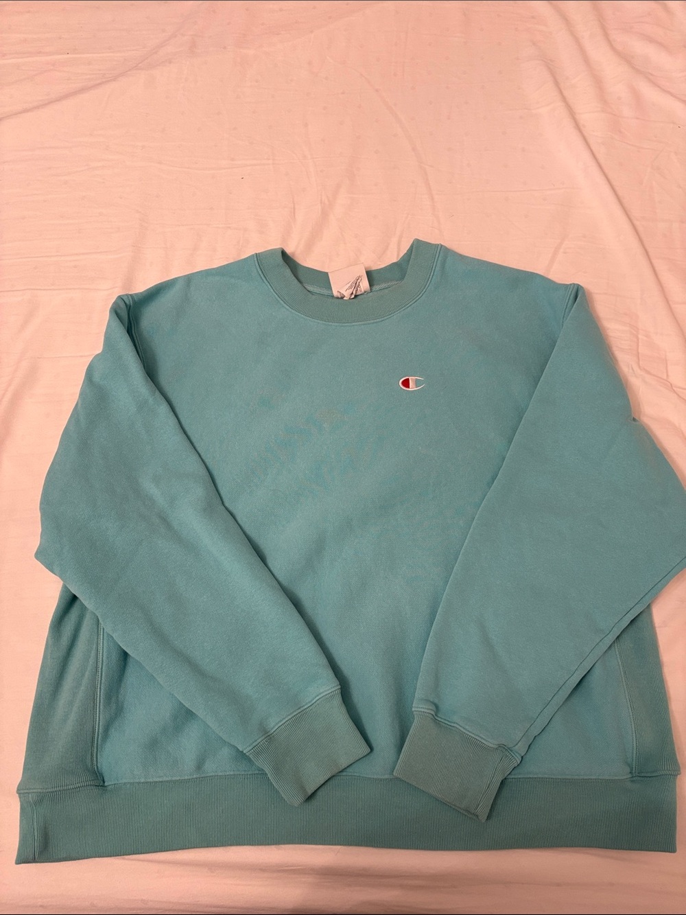 Champion Men's Crewneck Sweatshirt in Aqua Teal